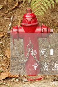 招商銀行信用卡逾期了有怎么辦(招商銀行以前有逾期以后是不是不能下卡)