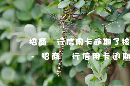 招商銀行信用卡逾期了核對(duì)資料-招商銀行信用卡逾期了核對(duì)資料怎么辦