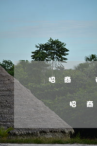 招商銀行信用卡逾期了還會(huì)起訴嗎(招商銀行逾期被起訴了還可以協(xié)商嗎)