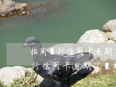 招商銀行信用卡逾期了還能解凍嗎-招商銀行信用卡逾期了還能解凍嗎