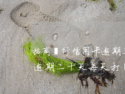 招商銀行信用卡逾期二十天(招商銀行信用卡逾期二十天每天打電話)