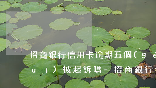 招商銀行信用卡逾期五個(gè)月會(huì)被起訴嗎-招商銀行信用卡逾期五個(gè)月會(huì)被起訴嗎