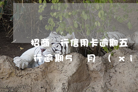 招商銀行信用卡逾期五個月免息嗎-招商銀行逾期5個月,現(xiàn)在需要全額還款