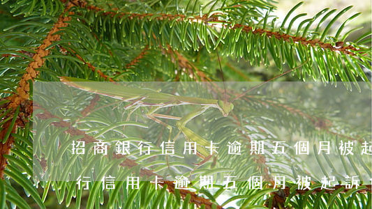 招商銀行信用卡逾期五個月被起訴-招商銀行信用卡逾期五個月被起訴會怎么樣