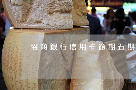 招商銀行信用卡逾期五期了怎么辦