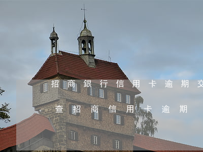 招商銀行信用卡逾期交銀行調(diào)查 招商信用卡 逾期