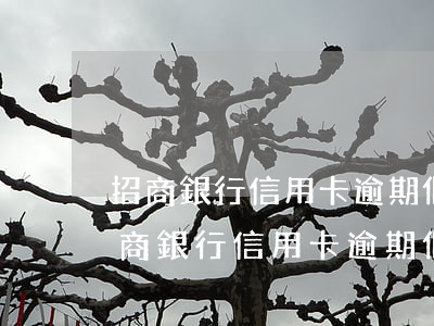 招商銀行信用卡逾期個性話分期減免嗎-招商銀行信用卡逾期個性話分期減免嗎是真的嗎