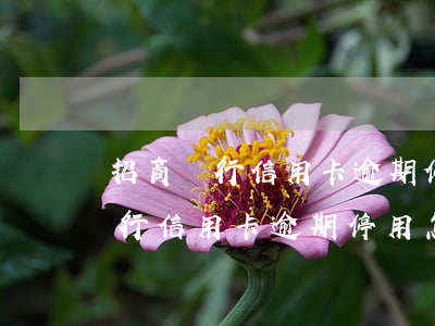 招商銀行信用卡逾期停用怎么投訴-招商銀行信用卡逾期停用怎么投訴電話