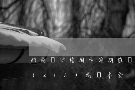 招商銀行信用卡逾期催還(招行信用卡逾期協(xié)商還本金)