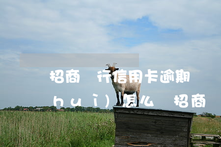 招商銀行信用卡逾期兩個(gè)多月會(huì)怎么樣（招商銀行信用卡逾期兩個(gè)多月）