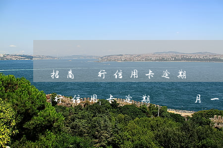 招商銀行信用卡逾期兩個月一千多-招商銀行信用卡逾期兩個月一千多怎么辦
