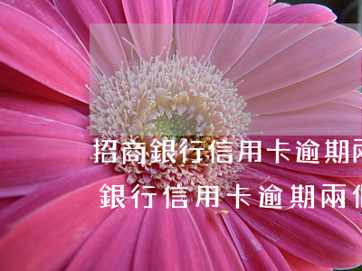 招商銀行信用卡逾期兩個月了怎么辦-招商銀行信用卡逾期兩個月了怎么辦啊