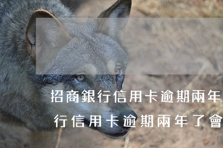 招商銀行信用卡逾期兩年了會扣嗎-招商銀行信用卡逾期兩年了會扣嗎怎么辦