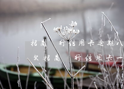 招商銀行信用卡逾期八萬(wàn)被起訴 欠招商銀行信用卡一萬(wàn)五幾個(gè)月會(huì)被起訴