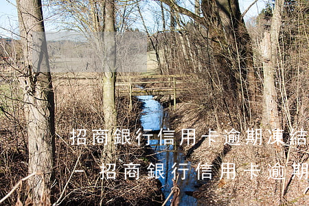 招商銀行信用卡逾期凍結已經還款怎么解凍-招商銀行信用卡逾期凍結已經還款怎么解凍賬戶
