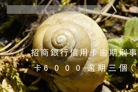 招商銀行信用卡逾期刑事案件(招商銀行信用卡6000逾期三個(gè)月要起訴我真的么)
