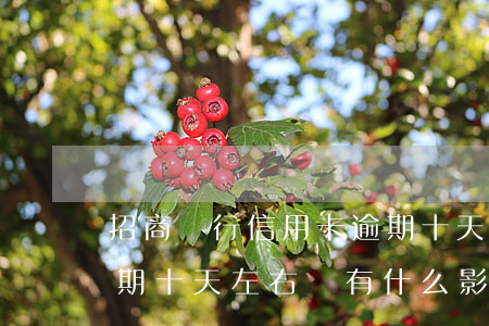 招商銀行信用卡逾期十天 招商銀行信用卡逾期十天左右會有什么影響