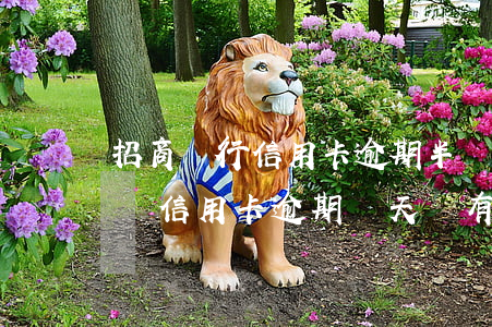 招商銀行信用卡逾期半個月沒還-招行忘記還信用卡逾期幾天會有不良記錄嗎