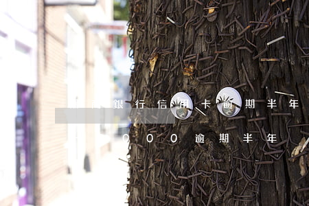 招商銀行信用卡逾期半年后果(招商銀行信用卡3000逾期半年)