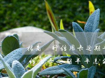 招商銀行信用卡逾期半年怎么樣-招商銀行信用卡逾期半年怎么樣恢復(fù)