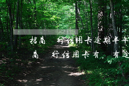 招商銀行信用卡逾期半年還款記錄(怎么查招商銀行信用卡有沒有逾期記錄)
