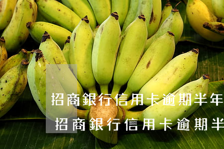 招商銀行信用卡逾期半年還清能解凍嗎-我招商銀行信用卡逾期半年