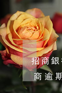 招商銀行信用卡逾期協(xié)商信訪 招商逾期催收主動協(xié)商