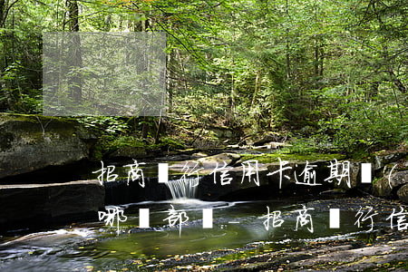 招商銀行信用卡逾期協(xié)商還款找哪個部門-招商銀行信用卡逾期協(xié)商還款找哪個部門投訴