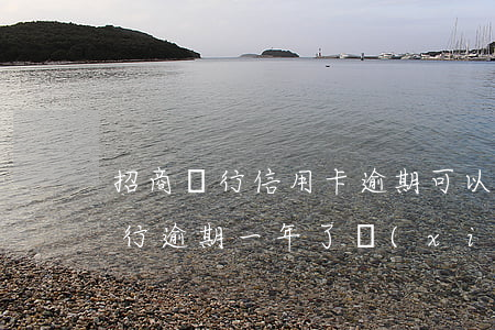 招商銀行信用卡逾期可以只還本金-招商銀行逾期一年了現(xiàn)在有能力還款,但是違約金太高了