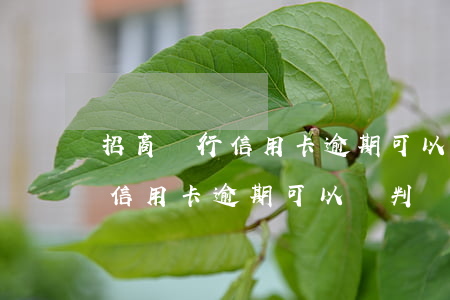 招商銀行信用卡逾期可以談判嗎-招商銀行信用卡逾期可以談判嗎知乎
