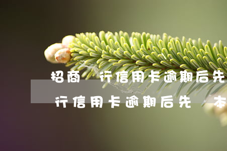 招商銀行信用卡逾期后先換本金嗎-招商銀行信用卡逾期后先換本金嗎