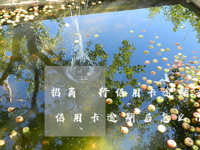 招商銀行信用卡逾期后怎么清楚-招商銀行信用卡逾期后怎么清楚記錄