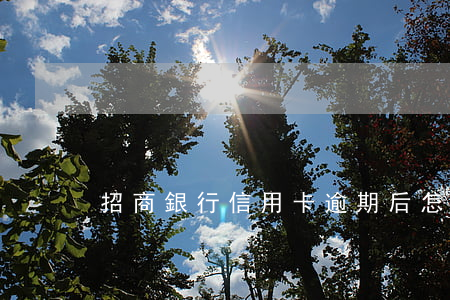 招商銀行信用卡逾期后怎么清楚
