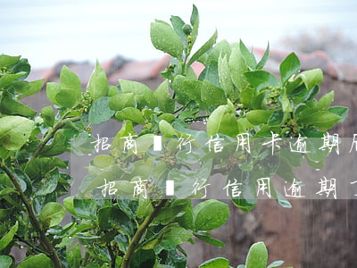 招商銀行信用卡逾期后會(huì)有什么(招商銀行信用逾期了2天會(huì)不會(huì)有影響?)