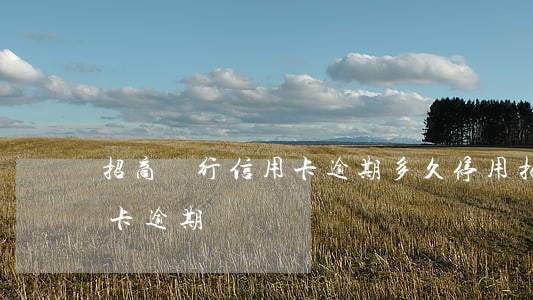 招商銀行信用卡逾期多久停用(招商銀行 信用卡 逾期)