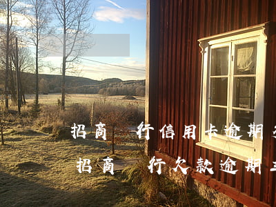 招商銀行信用卡逾期多久多少額度會被起訴(招商銀行欠款逾期三個月真的會被起訴嗎)