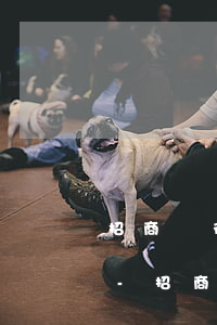招商銀行信用卡逾期多久恢復(fù)正常-招商銀行信用卡逾期多久恢復(fù)正常使用