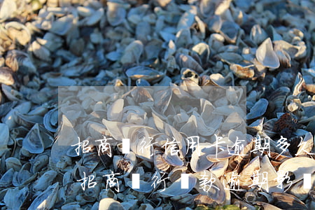 招商銀行信用卡逾期多久恢復(fù)正常(招商銀行還款逾期影響信用度多久消除)