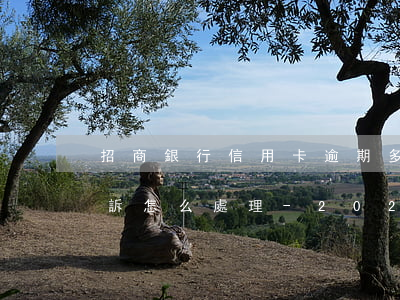 招商銀行信用卡逾期多久會(huì)被起訴怎么處理-2021年招商信用卡逾期多久上征信
