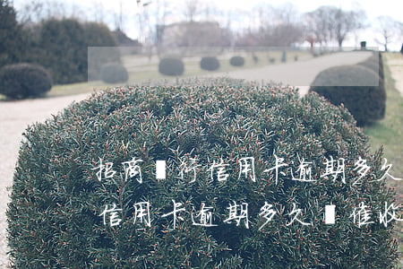 招商銀行信用卡逾期多久會催收-招商銀行信用卡逾期多久會催收電話