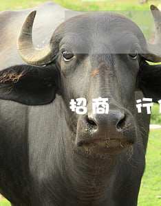 招商銀行信用卡逾期多久會有影響