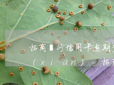 招商銀行信用卡逾期多久會被發(fā)現(xiàn)-招商銀行信用卡逾期多久會被發(fā)現(xiàn)呢