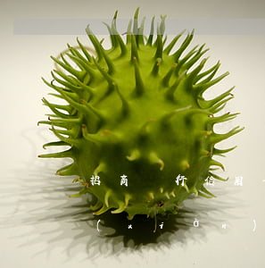 招商銀行信用卡逾期多久會被發(fā)現(xiàn)(招商銀行信用卡逾期多久會被發(fā)現(xiàn)起訴)