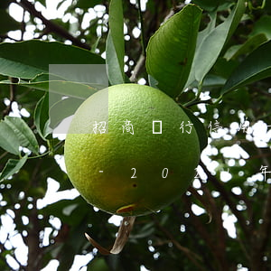招商銀行信用卡逾期多久會被起訴怎么處理-2021年招商信用卡逾期多久上征信
