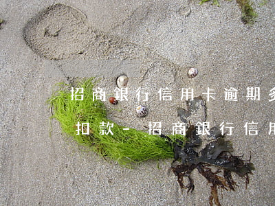 招商銀行信用卡逾期多久自動(dòng)扣款-招商銀行信用卡逾期多久自動(dòng)扣款了