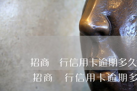 招商銀行信用卡逾期多久被凍結(jié)(招商銀行信用卡逾期多久被凍結(jié))