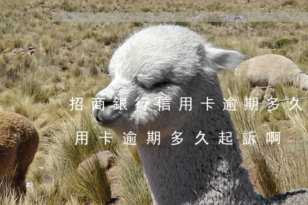 招商銀行信用卡逾期多久起訴啊(招商銀行信用卡逾期多久起訴啊)