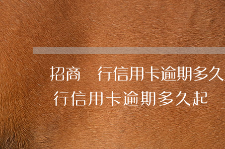 招商銀行信用卡逾期多久起訴銀行-招商銀行信用卡逾期多久起訴銀行最有效