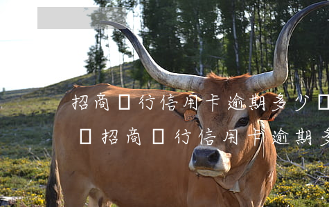 招商銀行信用卡逾期多少會(huì)被上訴(招商銀行信用卡逾期多少會(huì)被上訴了)