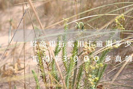 招商銀行信用卡逾期多少起訴費 欠招商銀行信用卡3000多真的會被起訴